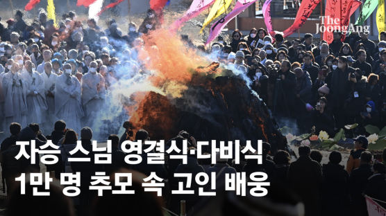 '탕!탕!탕!' 성파스님은 땅 세번 내리쳤다…조계사서 자승 영결식