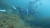 지난달 4일 서귀포시 영락리 인근 바닷속에서 다이버들이 쓰레기를 수거하고 있다. [사진 제주도]