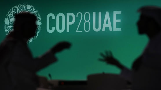 COP28 홈페이지에 태극기 대신 北인공기…항의 후 삭제조치