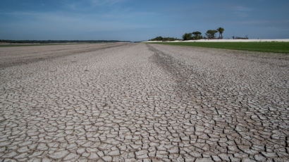 가장 따뜻했던 11월…"내년 기온 더 오른다" 폭염·가뭄 경고