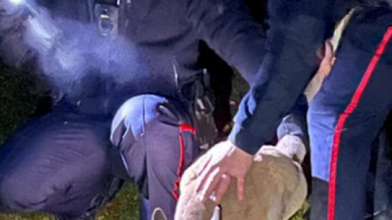 캐나다 동물원 탈출한 캥거루 도주극…경찰에 '강펀치' 날렸다