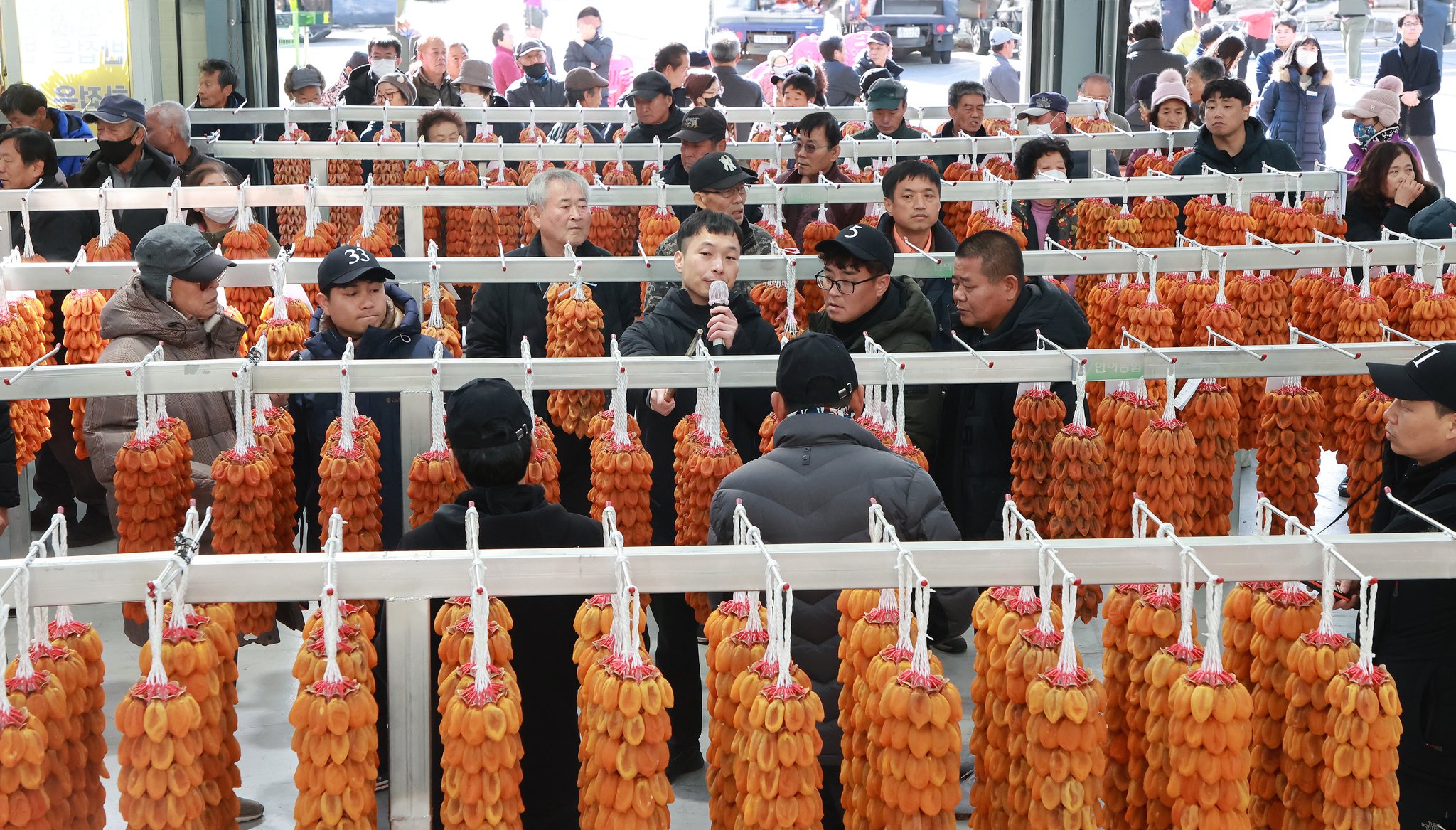 7일 경남 함양군 서하면 곶감경매장에서 ‘지리산 함양곶감’ 초매식이 진행되고 있다. 사진 함양군