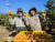 지난 5일 제주 서귀포시 남원읍 하례리의 한 농장에서 감귤 수확 작업 중인 농장주 문대오(왼쪽)씨와 베트남 근로자 황옥민씨가 수확한 감귤을 들고 웃고 있다. 사진 농협제주본부
