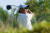 함정우가 9일 아부다비 골프클럽에서 벌어진 LIV 골프 프로모션스 대회 2라운드 3번홀에서 티샷하고 있다. 사진=LIV Golf/Montana Pritchard