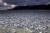 7일 일본 북부 홋카이도 하코다테시의 한 해변에 정어리떼와 고등어떼가 떠밀려왔다. 당국은 원인을 알 수 없는 이유로 죽은 정어리 수천 톤(t)이 일본 북부의 한 해변에 떠밀려왔다고 8일 밝혔다. AP통신=연합뉴스