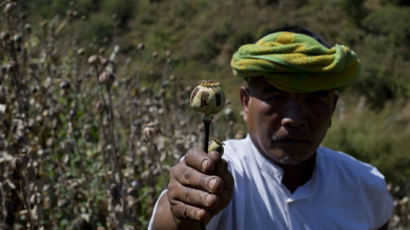 요즘 마약은 여기에서…미얀마, 아프가니스탄 제치고 세계 최대 아편 생산국