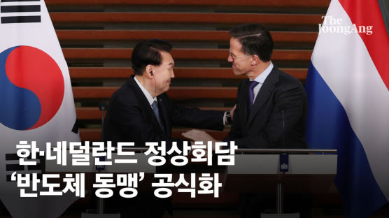 한국·네덜란드 '반도체 동맹' 공식 명문화…핫라인도 만든다