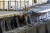 14일(현지시간) 미국 뉴저지주 뉴어크 펜역 선로에 황소 한 마리가 서 있다. 사진 뉴저지트랜짓