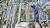  전국 대부분 지역에 한파특보가 발효된 17일 경기도 수원시 영통구 한 아파트단지 나뭇가지에 고드름이 매달려 있다. 뉴시스
