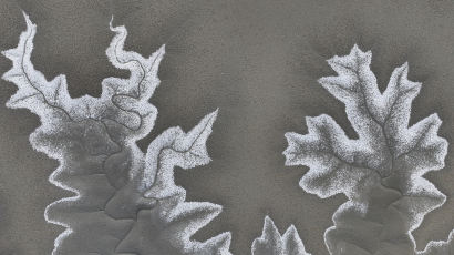 [포토타임] 한파가 그린 그림... 화성시 갯벌 갯골따라 바닷물 얼어 
