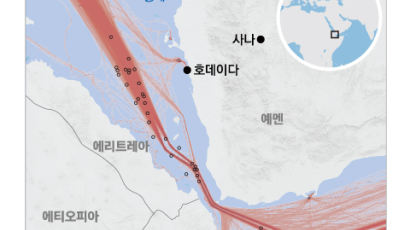 美 '홍해 항로 보호' 요청에…한국, 청해부대 파견 검토한다