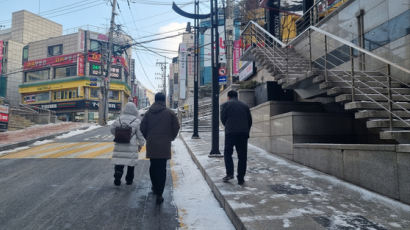밤9시부터 서울 전역 한파 경보…꽁꽁 언 출퇴근길 지각·정체