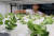 지난달 2일 경기 수원시 권선구 수원메쎄에세 열린 '2023 케이팜' 농업 축산 귀농귀촌 박람회에서 관계자가 캐비넷형 식물재배기를 관리하고 있다. 뉴스1