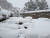 충남 서천군 비인면 한 주택 장독대에 눈이 수북이 쌓여있다. 주민들은 "태어나서 이렇게 눈이 많이 온 것은 처음"이라고 말했다. 사진 독자