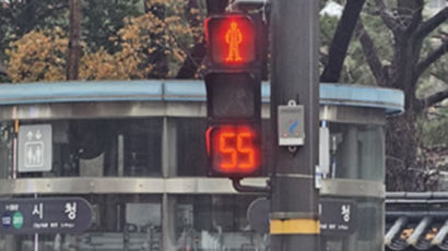 빨간불 남은 시간 알려주는 신호등, 서울 5곳에 시범 설치