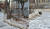 21일 서울시 송파구의 한 근린공원. CCTV 인근에 송파구청 허가 길고양이 급식소가 설치된 모습(왼쪽). 인접 아파트 주민들이 돌보는 길고양이 '미미'가 급식소 방향으로 걸어가고 있다. 정은혜 기자