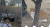 올 겨울 가장 혹독한 한파가 찾아온 21일 서울시 송파구의 한 근린공원. 송파구청이 설치한 길고양이 겨울집(왼쪽) 이를 이용하는 인접 아파트 길고양이 '참치'의 모습. 참치는 중성화 수술을 받는 등 아파트 주민들의 돌봄을 받고 있다. 정은혜 기자 