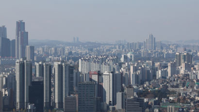 19평 나홀로 아파트도 11억…서울 평균 분양가 10억 넘었다