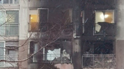 성탄절 비극…도봉구 23층 아파트 불, 2명 사망·29명 중경상