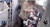 지난 5월 경남 창원의 한 애견 미용 업체 미용사가 4살 몰티즈의 털을 깎다 머리를 내려쳐 숨지는 사고가 발생했다. 사진 KBS 캡처