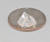 지난 25일(현지시간) 아칸소 주립공원 홈페이지는 한 남성이 유리조각으로 알고 주운 물체가 뒤늦게 4.87캐럿짜리 다이아몬드로 판명됐다는 소식을 정했다. 사진 아칸소 주립공원