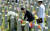 이국종 국방부 의무자문관이 지난 6월 6일 제68주년 현충일을 맞아 국립대전현충원 한주호 준위 묘소에 헌화하고 있다. 이 교수는 천안함46용사합동묘역도 참배했다. 프리랜서 김성태