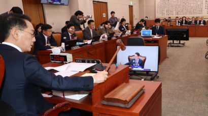 ‘옥외광고물법’ 법사위 통과…정당 현수막 읍·면·동 최대 2개 제한