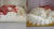 최근 일본 다카시야마 백화점의 딸기 케이크 파손된 상태에서 배송돼 논란이 됐다. 사진 엑스 캡처