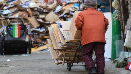 주6일 폐지 주워 월16만원 번다…대한민국 서글픈 '노인 빈곤'