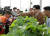 한동훈 전 법무부 장관이 지난 10월 30일 전북 완주 삼례읍의 한 딸기농장에서 계절근로자들과 인사하고 있다. 사진 법무부