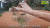 지난 29일 에버랜드 유튜브 '말하는 동물원 뿌빠TV'에서 강철원 사육사는 지난 7월 출산한 아이바오와 쌍둥이 새끼 판다들이 나오기 전 변화를 준 실내 방사장의 모습을 소개했다. 사진 유튜브 캡처