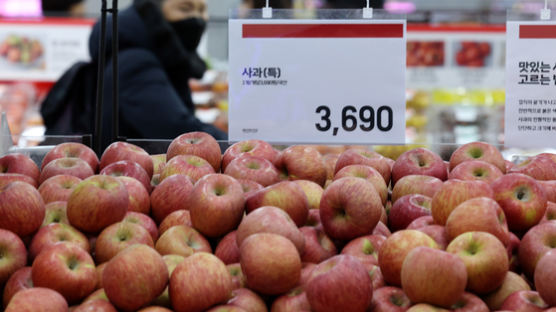 [사진] 사과 1개 3690원