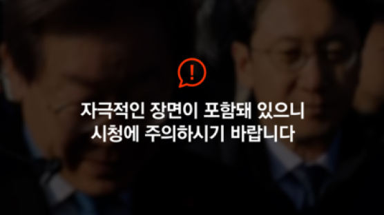민주 "이재명 경정맥 손상 의심"…서울대병원으로 헬기 이송
