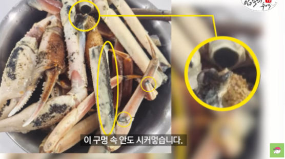 "노량진 대게, 썩은 것 아니다"…전문가가 밝힌 '검은 점' 정체 