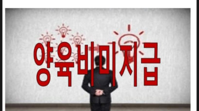 ‘양육비 미지급 부모 신상공개’ 배드파더스 운영자, 명예훼손 유죄 확정