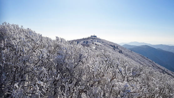 [포토타임] 상고대 만개한 태백산국립공원, 눈꽃 산행 즐기는 시민들…7일은 중부지역 낮에도 영하권 추위 이어져