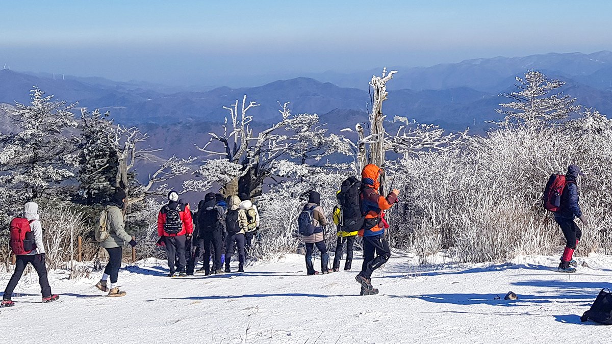  시민들이 6일 태백산국립공원 정상 부근에서 눈꽃 산행을 하고 있다.연합뉴스