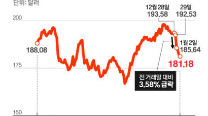 엎친 데 덮친 애플…‘반독점법’ 또 악재 만났다