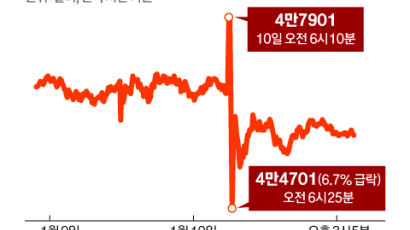 "딱 10분 가짜뉴스, 최악 시장조작"...전세계 코인 요동 파문