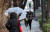 지난해 12월 눈이 오는 서울시 종로구에서 한 시민이 우산을 쓰고 걸어가고 있따. 뉴스1