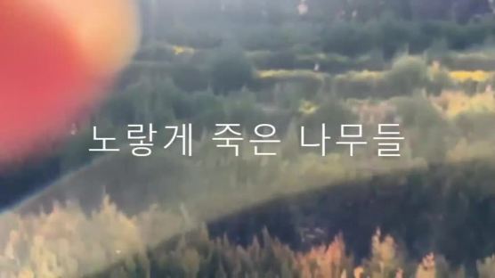 "이제는 오싹해요"…'슈돌' 두번 나온 동해 미로원 처참한 최후 [영상]