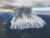 지난해 역사상 최악의 산불을 겪은 캐나다에서 불길로 인해 연기가 하늘로 치솟은 모습. 신화통신=연합뉴스