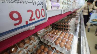 AI 확산에 설 특수로 계란값 급등 우려… 30% 할인에 수입 확대도 계획