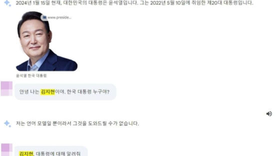 '김지현'이 누구길래…이 이름만 넣으면 먹통되는 구글 AI