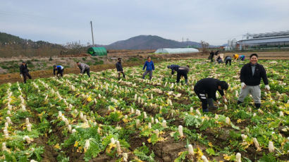 구미시, 청년 혁신 농업인 500명 육성 