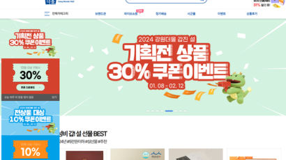 "최대 60% 싸요"…한우·사과 등 지차체 쇼핑몰 설맞이 할인