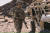 미 육군의 차세대 분대 화기인 XM7을 들고 있는 병사. 미 육군
