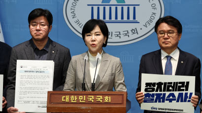 민주 "이재명 피습, 안보실·국정원에 책임…사건 축소 의혹도"