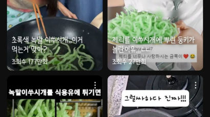 '이쑤시개 튀김' 먹방에 발칵…식약처 "과섭취땐 구토·설사"