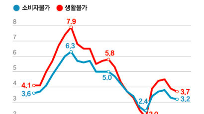 물가상승 꺾였다? 체감물가는 달랐다, 기름값·농산물이 복병